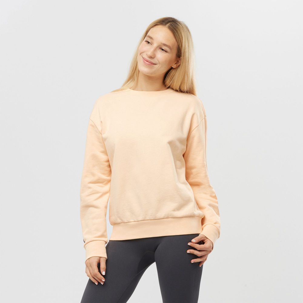 Pullover Salomon Mujer Beige - Salomon Argentina OUTLIFE SUMMER,413687-CFH